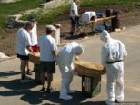 2007.04.15-eierlaes-018.jpg