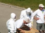 2007.04.15-eierlaes-042.jpg