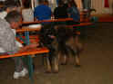 2003.05.29-Banntag-163s.jpg (44957 Byte)