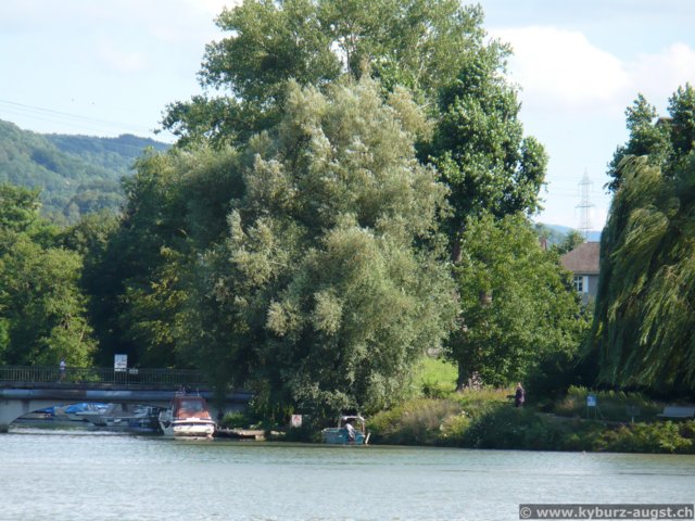 2007.07.12-ergrhein-020.jpg