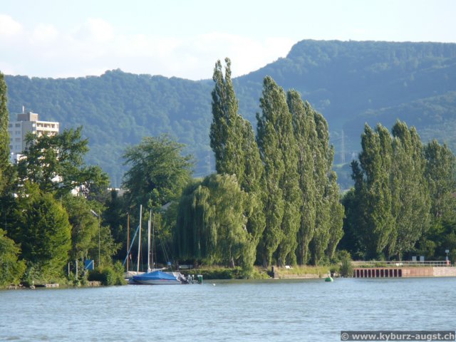 2007.07.12-ergrhein-034.jpg