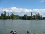 2007.07.12-ergrhein-019.jpg