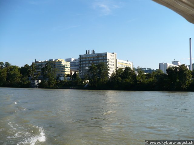 2007.07.31-weil-026.jpg