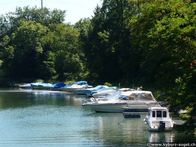 2007.08.01-rheinerg-012.jpg