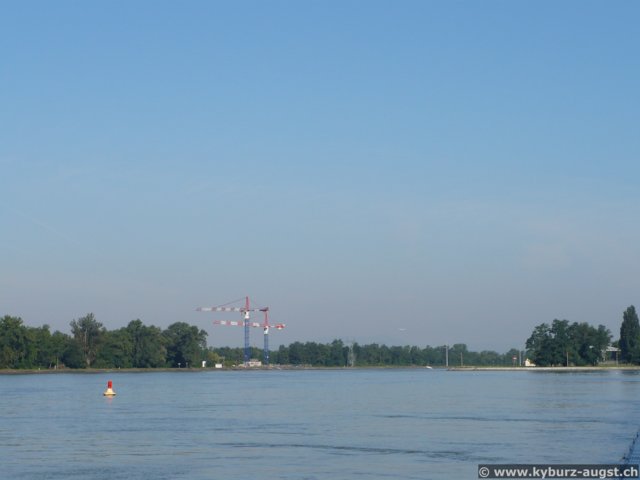 2007.08.01-weil-005.jpg