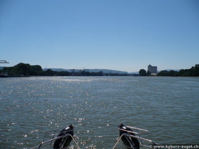 2007.08.01-weil-021.jpg