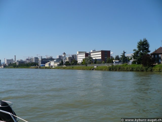 2007.08.01-weil-026.jpg
