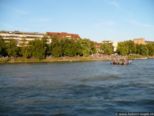 2007.07.31-weil-059.jpg