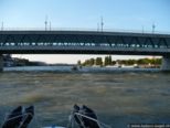 2007.07.31-weil-066.jpg