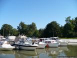2007.08.01-weil-001.jpg