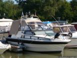 2007.08.01-weil-002.jpg