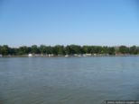 2007.08.01-weil-007.jpg