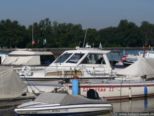 2007.08.01-weil-012.jpg