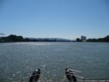 2007.08.01-weil-021.jpg