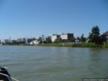 2007.08.01-weil-026.jpg