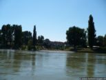 2007.08.01-weil-051.jpg
