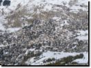 2007.02.20-nendaz-019.jpg