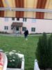 2009.04.12-brigitte40-sabs-127.jpg