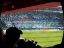 2007.04.22-fcbfcz-023.jpg