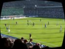 2007.04.22-fcbfcz-048.jpg