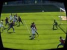 2007.04.22-fcbfcz-179.jpg