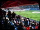2008.03.09-fcbstgal-001.jpg