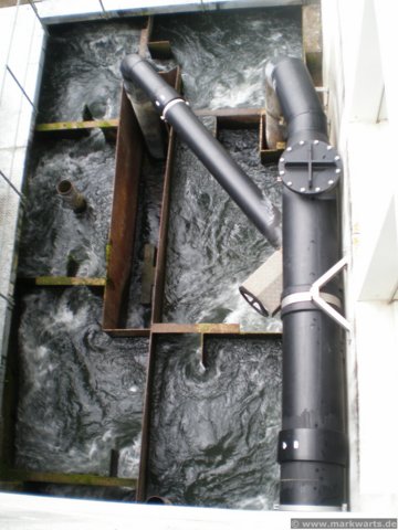 2008.03.24-augst-25.jpg