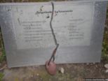 2008.03.24-augst-12.jpg