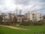 2008.03.24-augst-29.jpg