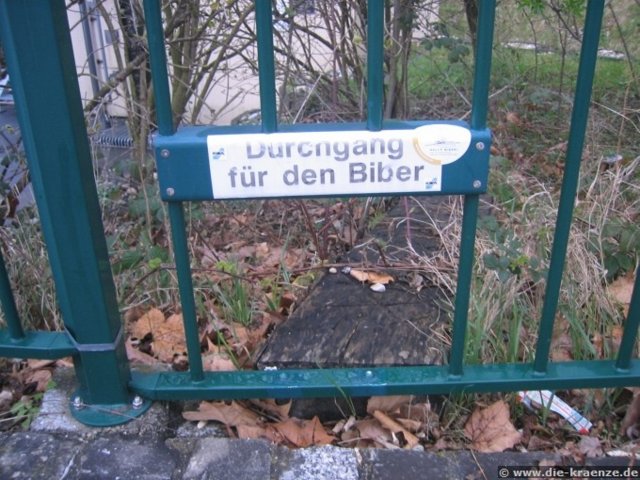 2008.03.24-augsteric-26.jpg