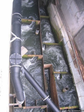 2008.03.24-augsteric-35.jpg