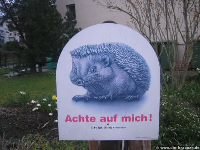2008.03.24-augsteric-36.jpg