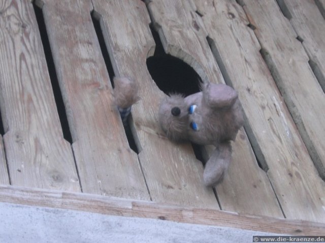 2008.03.24-augsteric-56.jpg