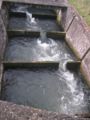 2008.03.24-augsteric-04.jpg