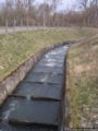 2008.03.24-augsteric-05.jpg