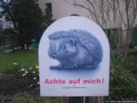 2008.03.24-augsteric-36.jpg