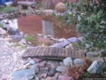 2008.03.24-augsteric-37.jpg