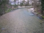 2008.03.24-augsteric-42.jpg
