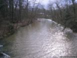 2008.03.24-augsteric-43.jpg