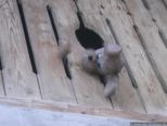 2008.03.24-augsteric-56.jpg