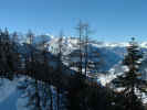 2005.02.05-Wallis-007.JPG (113798 Byte)