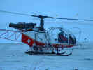 2005.02.07-Wallis-002.JPG (93125 Byte)