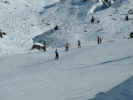 2005.02.08-Wallis-012.JPG (100502 Byte)