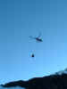 2005.02.09-Wallis-004.JPG (21842 Byte)
