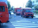 2003.05.23-FwMutt-02s.jpg (97673 Byte)