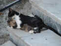 2003.06.28-Promithe-001.JPG (90711 Byte)