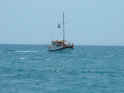 2003.06.10-Monachus-001.JPG (70985 Byte)