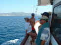 2003.06.16-Monachus-023.JPG (83422 Byte)
