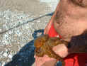 2003.06.12-Octopuss-001.JPG (123716 Byte)