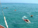 2003.06.16-Monachus-144.JPG (90076 Byte)